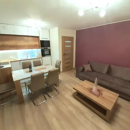 Reymonta Apartment *